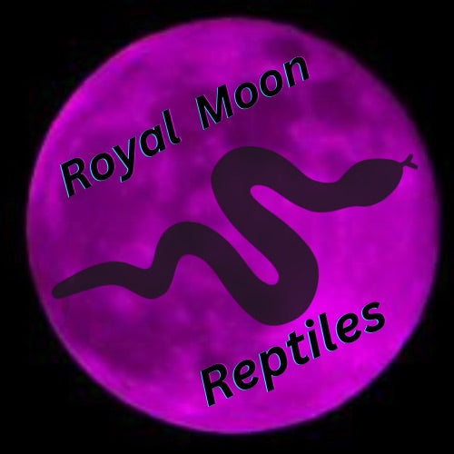Royal Moon Reptiles logo